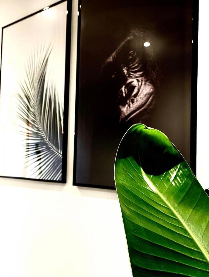 Jungle Garage Prive Netflix Apartment Saint-Etienne  Exterior photo